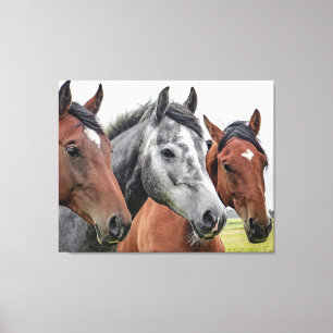 Mooie paarden canvas afdruk
