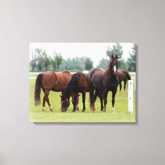 Mooie paarden/canvasomloop canvas afdruk (Voorkant)