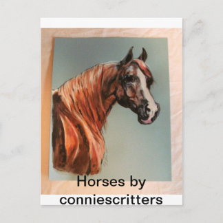 Mooie paarden door conniescritters briefkaart
