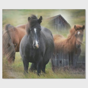 Mooie paarden en bijtende Barn Cadeaupapier