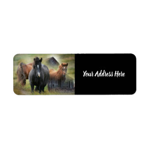 Mooie paarden en bijtende barnenetiketten etiket