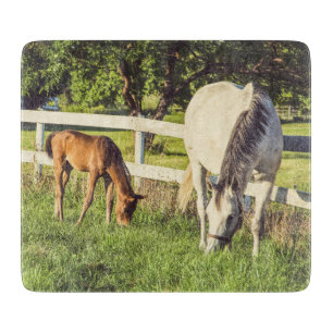 Mooie paarden- en veulensboerderij snijplank