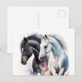 Mooie paarden in de Waterverf Briefkaart (Voorkant / Achterkant)