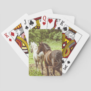 Mooie Paarden Landelijke Boerderij Pokerkaarten