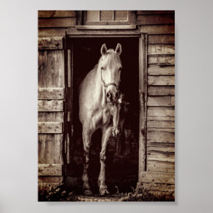 Mooie paarden Rustic Brown Barn Poster