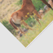 Mooie paarden tissuepapier (Detail)