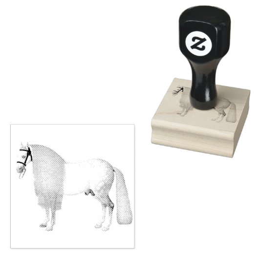 Mooie paardenhengst Long Mane | Rubberstempel (Gestempeld)
