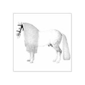 Mooie paardenhengst Long Mane | Rubberstempel Rubberstempel (Afrduk)