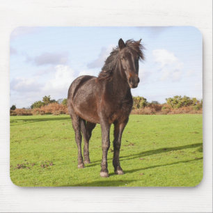 Mooie paardenmuis muismat