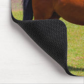 Mooie paardenmuis muismat (Hoek)