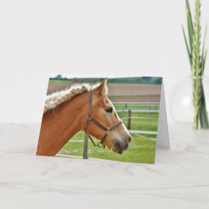 Mooie paardennoot Kaart