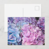 Mooie Paarse, Blauwe, Roze Hydrangea Bloemen Briefkaart (Voorkant / Achterkant)