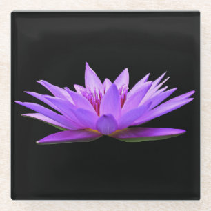 Mooie Paarse drijvende waterLily Glazen Onderzetter