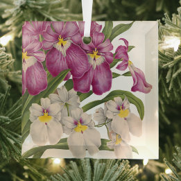 Mooie Paarse en Witte Orchideeën Glas Ornament