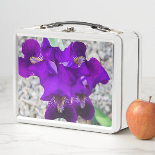 Mooie paarse iris