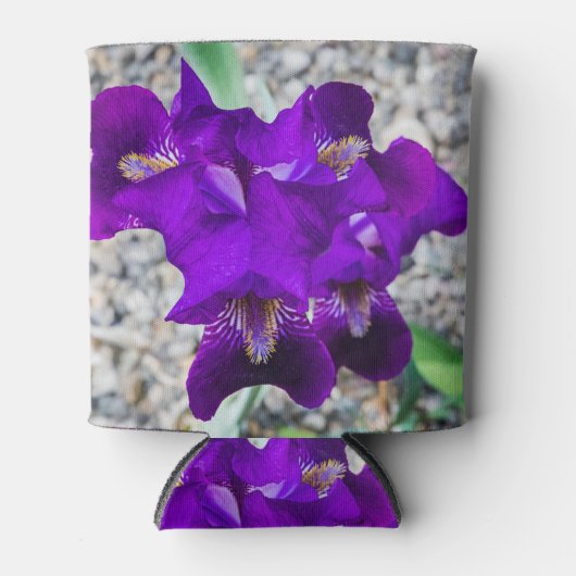 Mooie paarse iris blikjeskoeler (Voorkant)