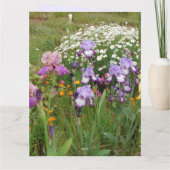 Mooie paarse iris bloem bloem foto kaart (Achterkant)