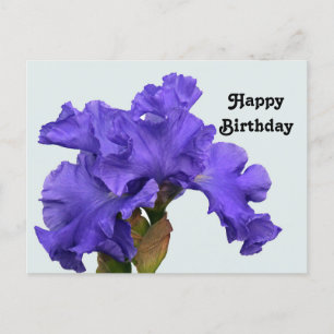 Mooie Paarse Iris Bloem Foto Verjaardag Briefkaart