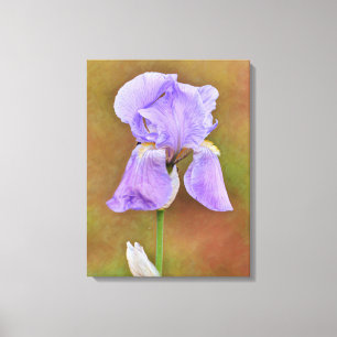 Mooie Paarse Iris Bloem Kunst Canvas Afdruk