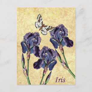 Mooie Paarse Iris Flowers en Butterfly Briefkaart