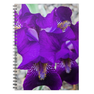 Mooie paarse iris notitieboek