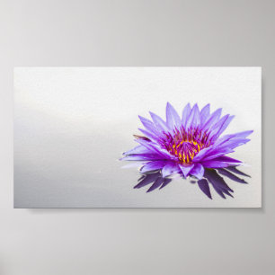 Mooie Paarse Lotus,Lake,Zen Poster