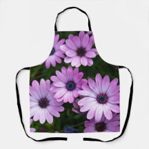 Mooie Paarse Margriet Bloem Voor Vrouwen