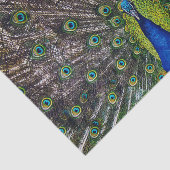 Mooie pacockvogel tissuepapier (Detail)