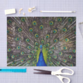 Mooie pacockvogel tissuepapier (Craft)