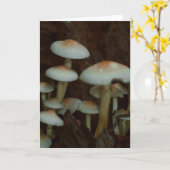 Mooie paddenstoelenfotografie blanco kaart (Gele Bloem)