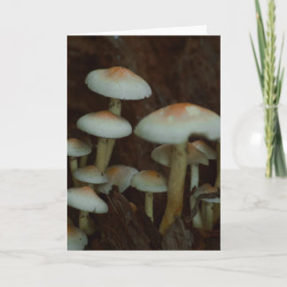 Mooie paddenstoelenfotografie blanco kaart
