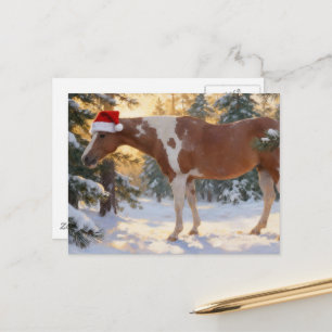 Mooie Paint Horse Merrie Kerstmis Briefkaart