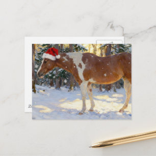 Mooie Paint Horse Merrie Kerstmis Briefkaart