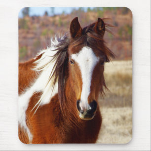 Mooie Paint Horse Mousepad Muismat