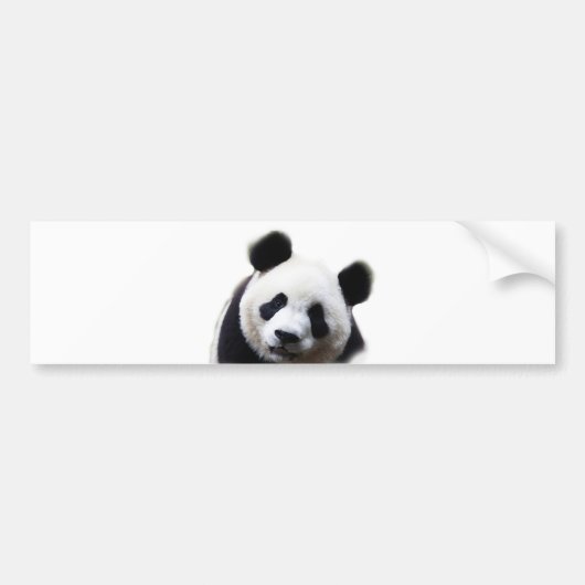 Mooie Panda-kunst Sticker (Voorkant)