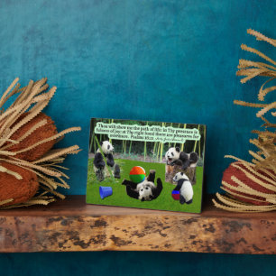 Mooie Panda Schrift Plaque Psalmen 16:11 Fotoplaat