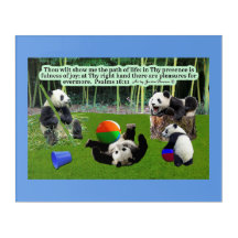 Mooie Panda Schrift: Psalmen 16:11