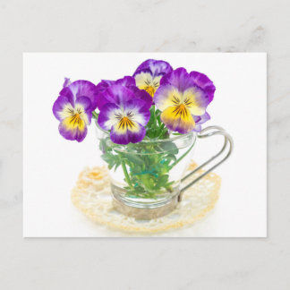 mooie pansy bloemen geïsoleerd in een bekertje briefkaart