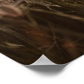 Mooie papaverbloemen poster (Hoek)