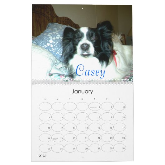 Mooie Papillons, 2007 Kalender (Jan 2026)