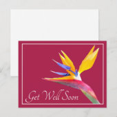 Mooie Paradijsvogelbloem Roze Achtergrond Betersch Briefkaart (Voorkant / Achterkant)