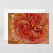 Mooie Pastelroos Close-up Bedankkaart Briefkaart (Voorkant / Achterkant)