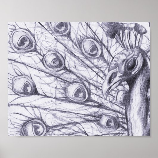 Mooie pauw poster (Voorkant)