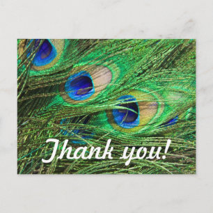 Mooie Peacock Briefkaart