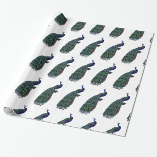 Mooie Peacock Cadeaupapier