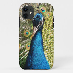 Mooie Peacock iPhone 11 Hoesje