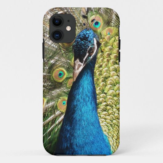 Mooie Peacock Case-Mate iPhone Case (Achterkant)