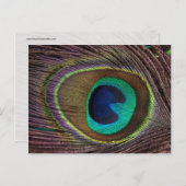 Mooie Peacock-doether Briefkaart (Voorkant / Achterkant)
