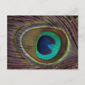 Mooie Peacock-doether Briefkaart (Voorkant)