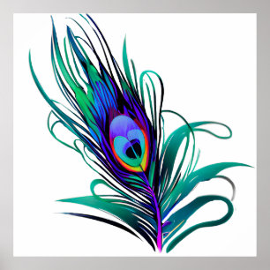 Mooie Peacock Feather Poster